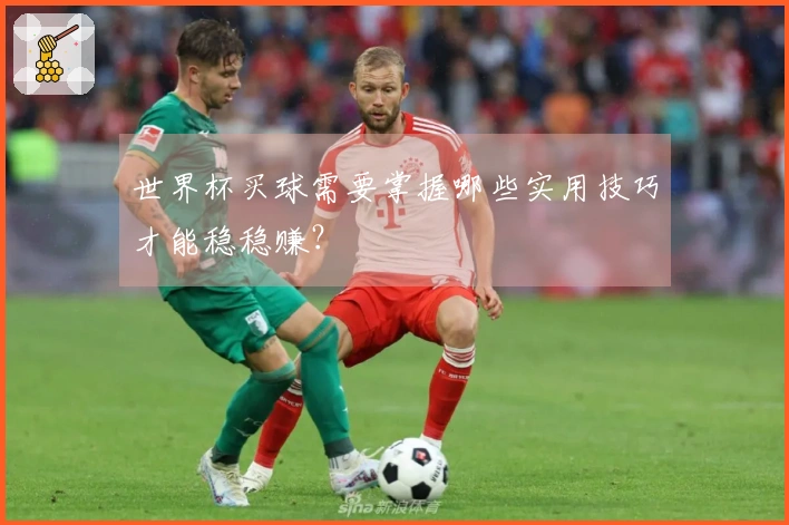 世界杯买球需要掌握哪些实用技巧才能稳稳赚？