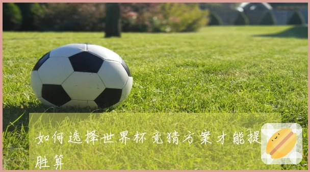 如何选择世界杯竞猜方案才能提高胜算