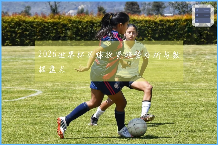 2026世界杯买球投资趋势分析与数据盘点