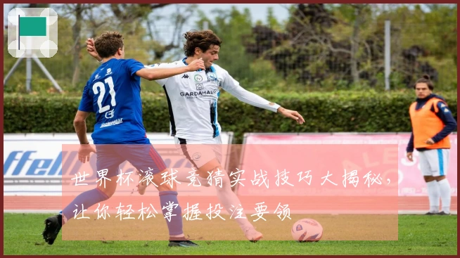 世界杯滚球竞猜实战技巧大揭秘，让你轻松掌握投注要领