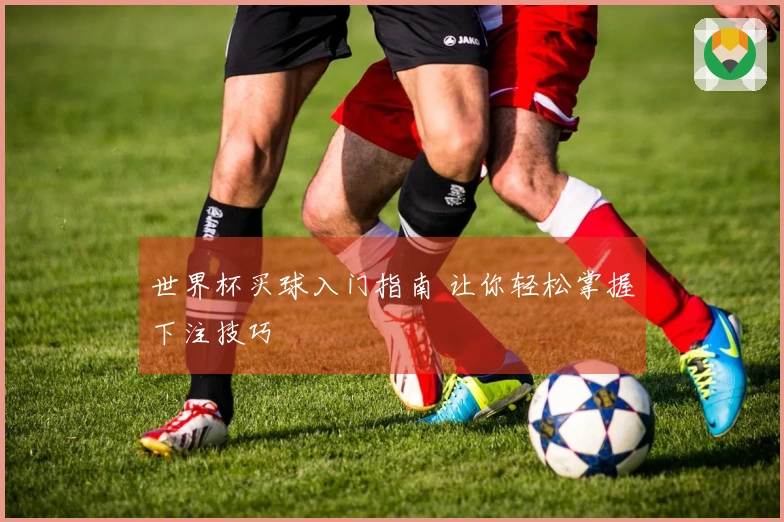 世界杯买球入门指南 让你轻松掌握下注技巧