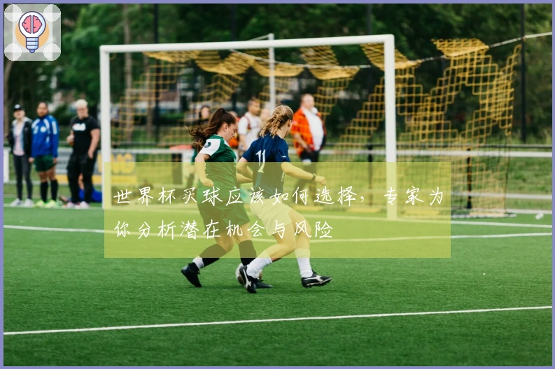 世界杯买球应该如何选择，专家为你分析潜在机会与风险