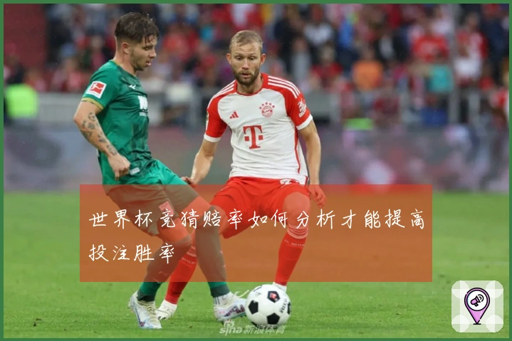 世界杯竞猜赔率如何分析才能提高投注胜率