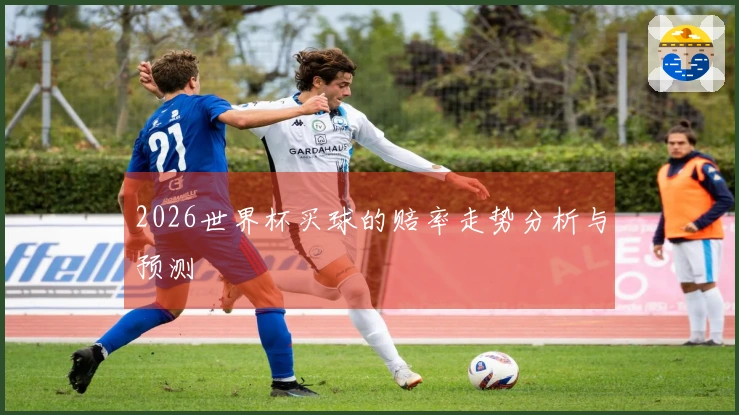 2026世界杯买球的赔率走势分析与预测