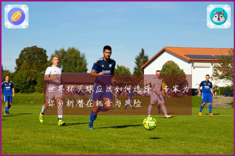 世界杯买球应该如何选择，专家为你分析潜在机会与风险
