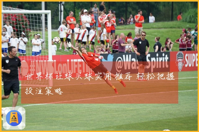 世界杯让球买球实用推荐 轻松把握投注策略